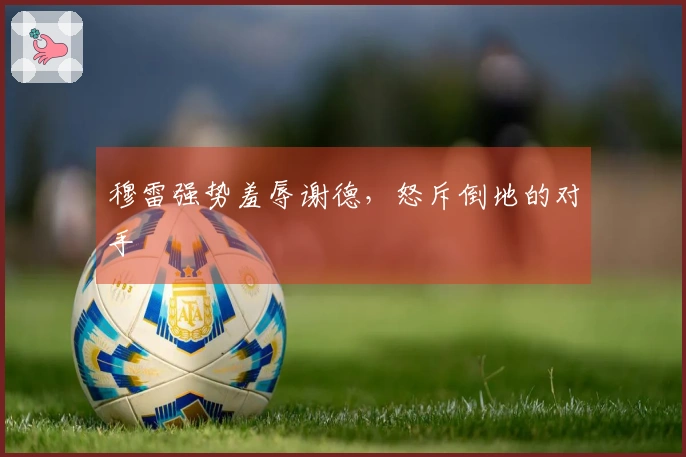 穆雷强势羞辱谢德，怒斥倒地的对手